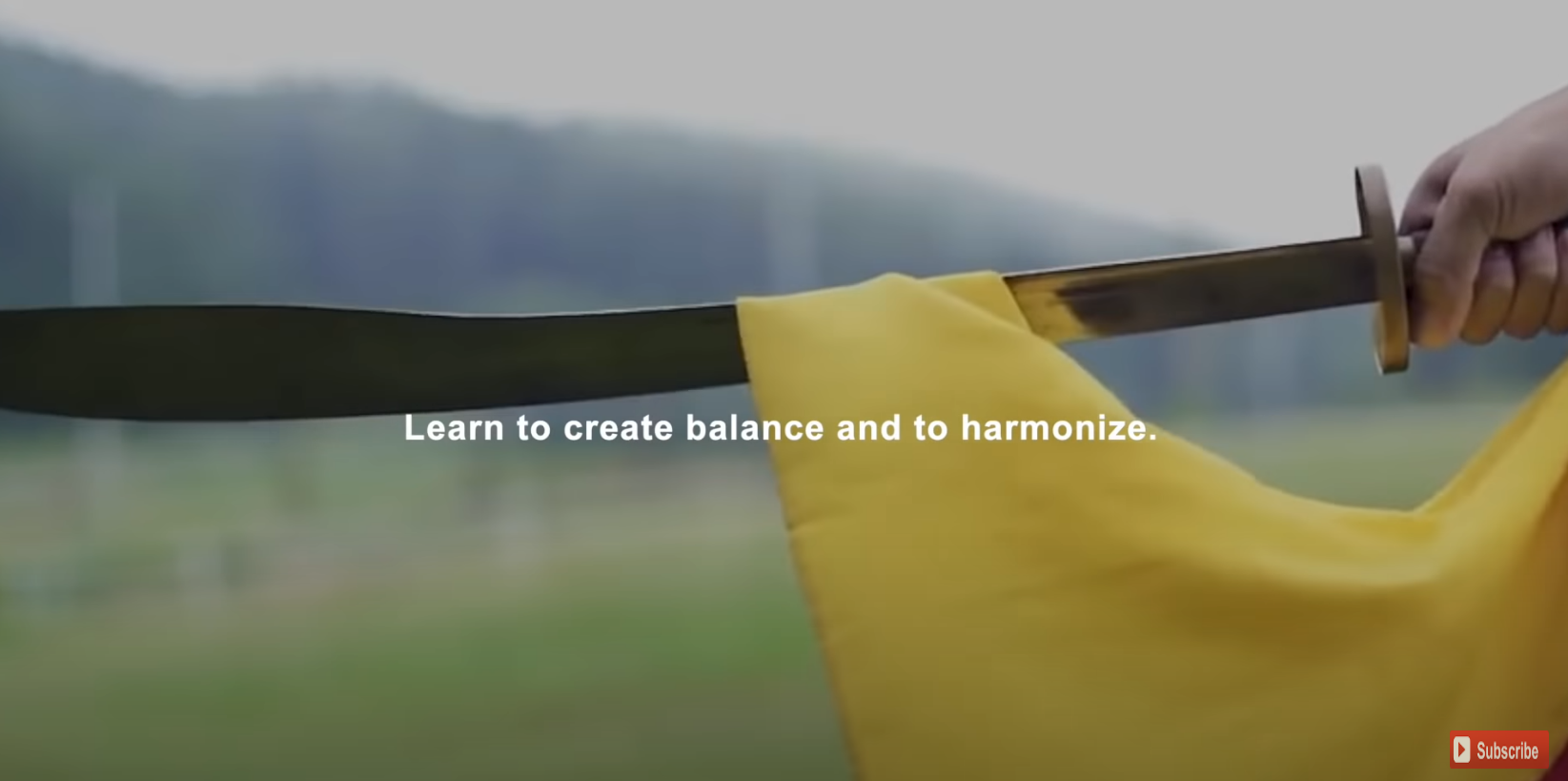 Shaolin Master – Create Balance and Harmony
